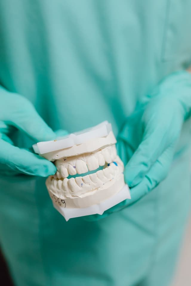 Full denture dental model